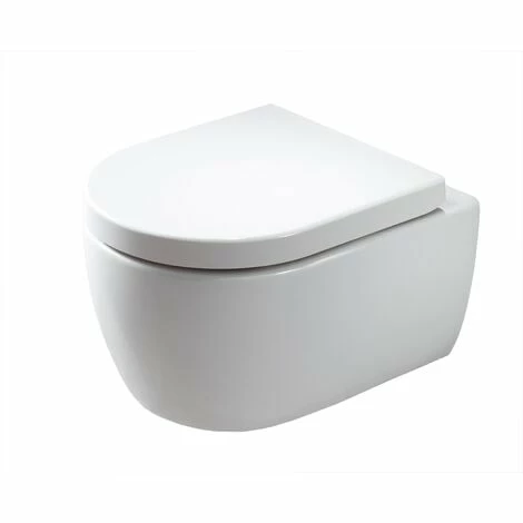 BERNSTEIN WC Suspendu à Fond Creux Sans Bride NANO NT2039 - Abattant Softclose Inclus: Standard 3 BERNSTEIN WC Suspendu à Fond Creux Sans Bride NANO NT2039 - Abattant Softclose Inclus: Standard