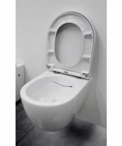 BERNSTEIN WC Suspendu Offre Spéciale Pack économique 1: NT2038 - Et Bâti-support G3004A Avec Plaque De Déclenchement: Modèle 4111 Satin -BERNSTEIN Shop 12586509 3