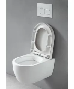 BERNSTEIN WC Suspendu Offre Spéciale Pack économique 3: NT2039 - Et Bâti-support G3004A Avec Plaque De Déclenchement: Modèle 4111 Satin -BERNSTEIN Shop 12923414 3