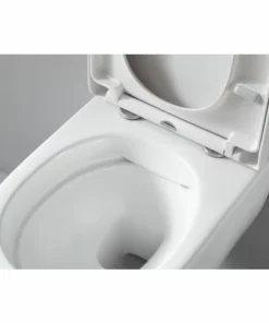 BERNSTEIN WC Suspendu Offre Spéciale Pack économique 3: NT2039 - Et Bâti-support G3004A Avec Plaque De Déclenchement: Modèle 4111 Satin -BERNSTEIN Shop 12923414 4