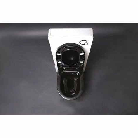 BERNSTEIN WC Suspendu Offre Spéciale Pack économique 5: B-8030 - Module Sanitaire 805 Et Plaque De Déclenchement Noir 4 BERNSTEIN WC Suspendu Offre Spéciale Pack économique 5: B-8030 - Module Sanitaire 805 Et Plaque De Déclenchement Noir – Image 2