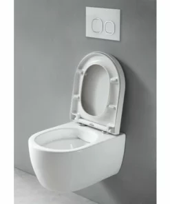 BERNSTEIN WC Suspendu Offre Spéciale Pack économique 22: NT2039 - Et Bâti-support G3008 Avec Plaque De Déclenchement: Modèle 4111 Satin -BERNSTEIN Shop 56370314 3