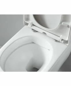 BERNSTEIN WC Suspendu Offre Spéciale Pack économique 22: NT2039 - Et Bâti-support G3008 Avec Plaque De Déclenchement: Modèle 4111 Satin -BERNSTEIN Shop 56370314 4