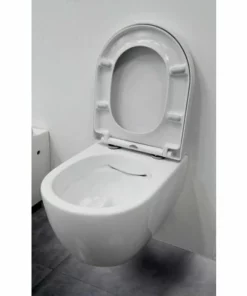 BERNSTEIN WC Suspendu Offre Spéciale Pack économique 23: NT2038 - Et Bâti-support G3008 Avec Plaque De Déclenchement: Modèle 4111 Blanc Mat -BERNSTEIN Shop 56370327 3